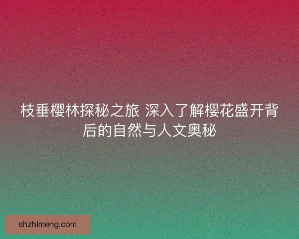 枝垂樱林探秘之旅 深入了解樱花盛开背后的自然与人文奥秘