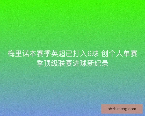 梅里诺本赛季英超已打入6球 创个人单赛季顶级联赛进球新纪录