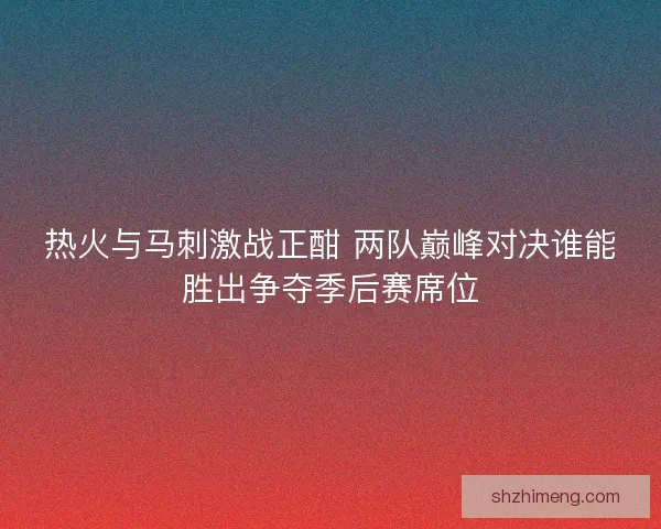 热火与马刺激战正酣 两队巅峰对决谁能胜出争夺季后赛席位